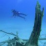 die Unterwasserlandschaft Insel Dimakya