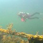 Wracks von Coron